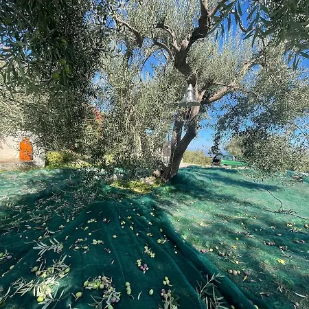 Villa Tenute Armani The Castle Live An Experience Altavilla Milicia
